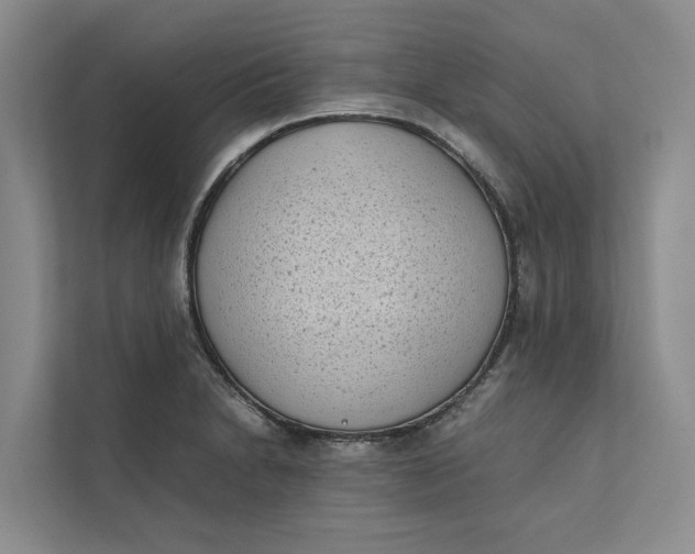 X0000112401230200909041329
