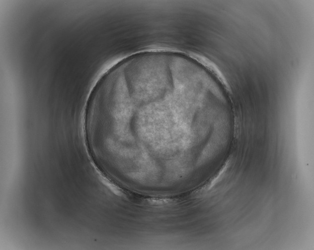 X0000112401231200909041329