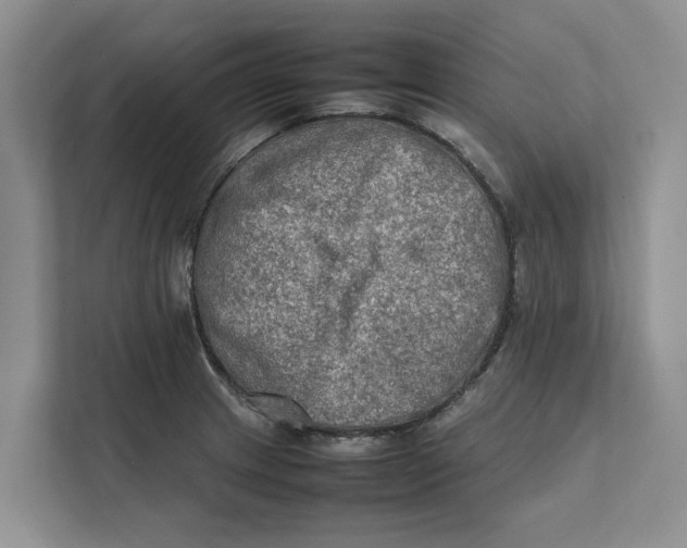 X0000112401233200909041329