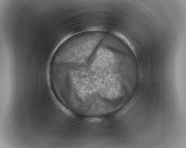 X0000112401235200909041329