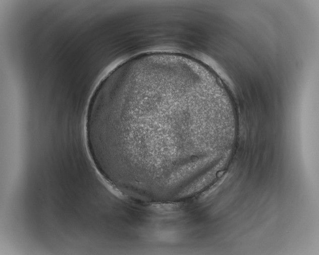 X0000112401237200909041330