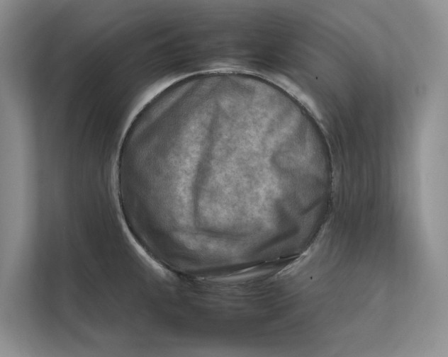 X0000112401239200909041330