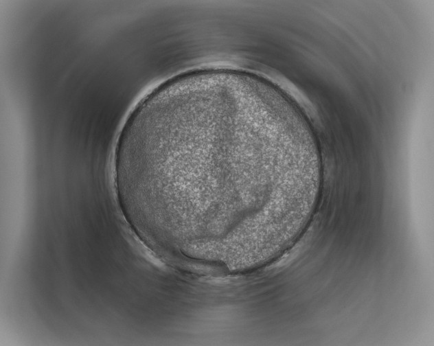 X0000112401240200909041330