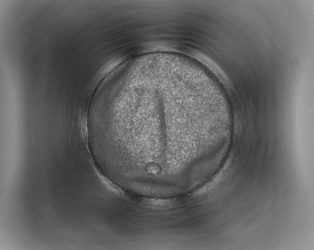 X0000112401241200909041330