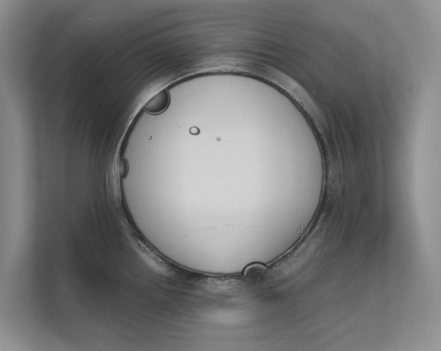 X0000112401242200909041330