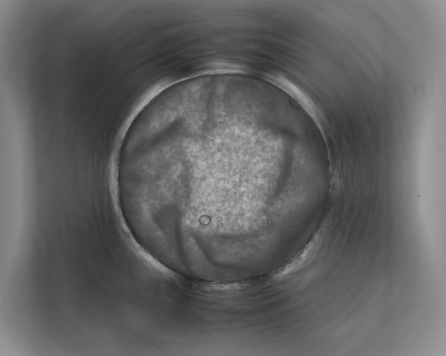 X0000112401243200909041330