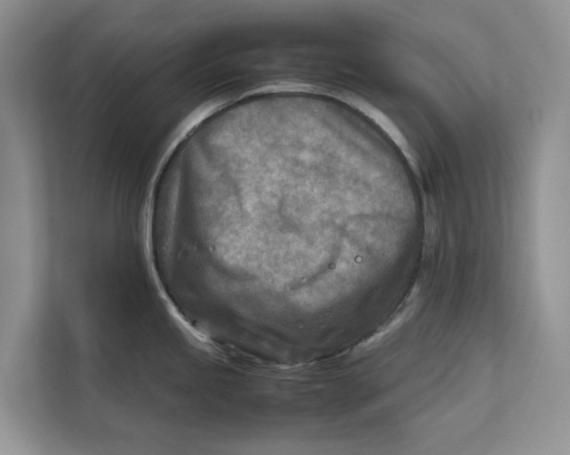 X0000112401245200909041330