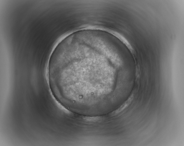 X0000112401247200909041330