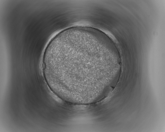 X0000112401248200909041330