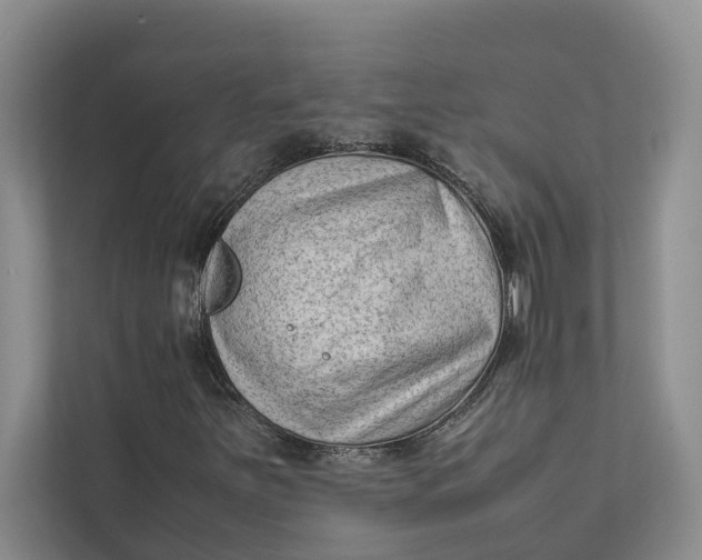 X0000112401251200909041329