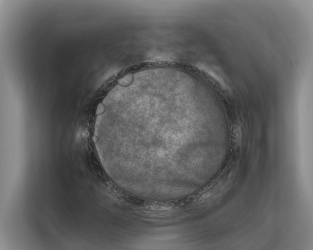 X0000112401254200909041329