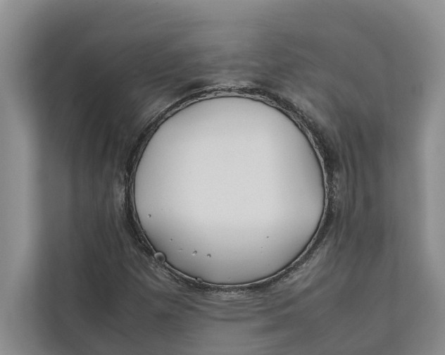 X0000112401257200909041329