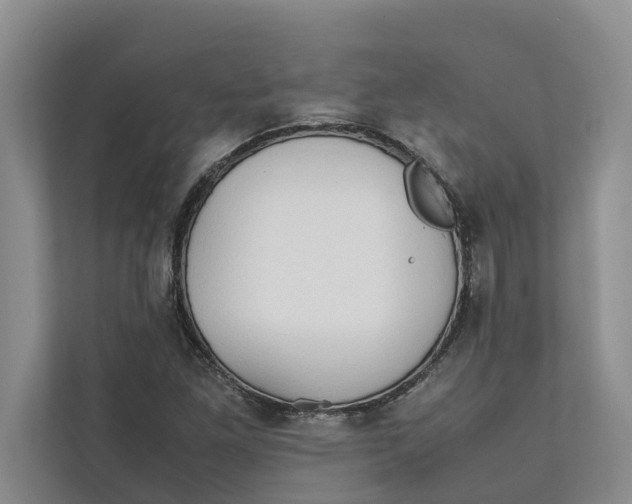 X0000112401261200909041329