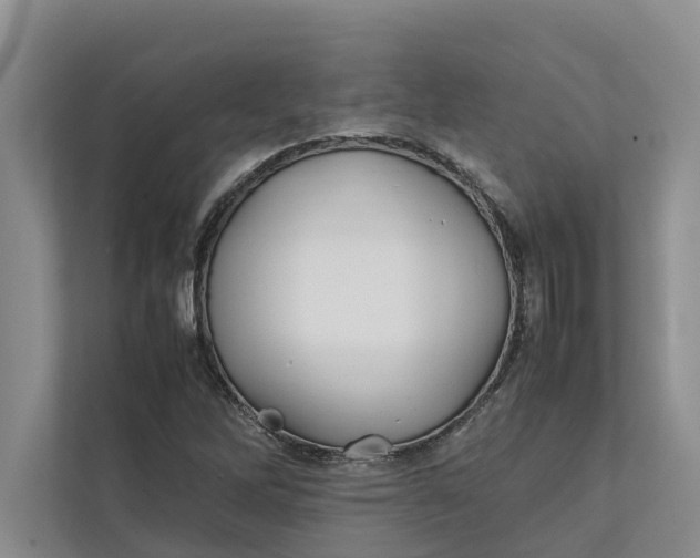 X0000112401262200909041329
