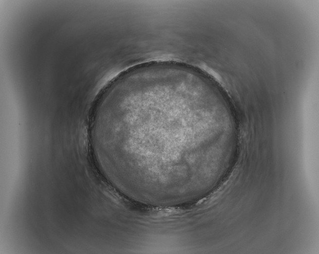 X0000112401263200909041329