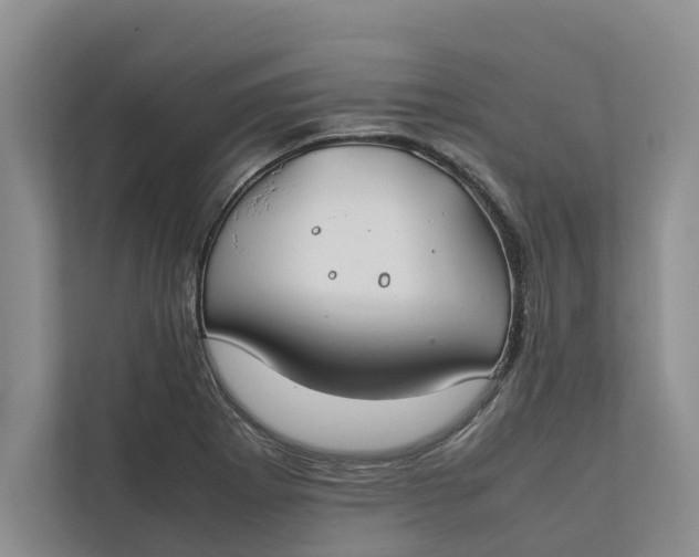 X0000112401273200909041329