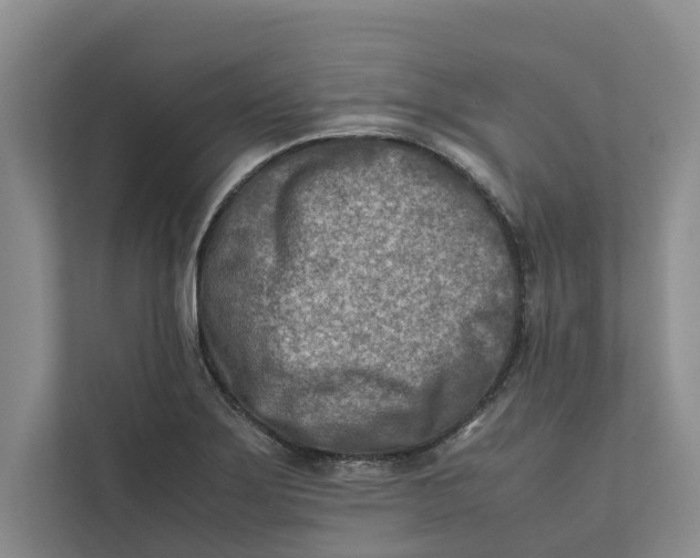 X0000112401275200909041329