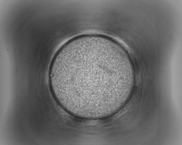 X0000112401279200909041329