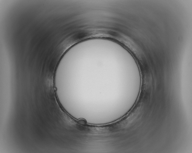 X0000112401281200909041329