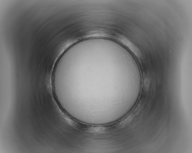 X0000112401282200909041329