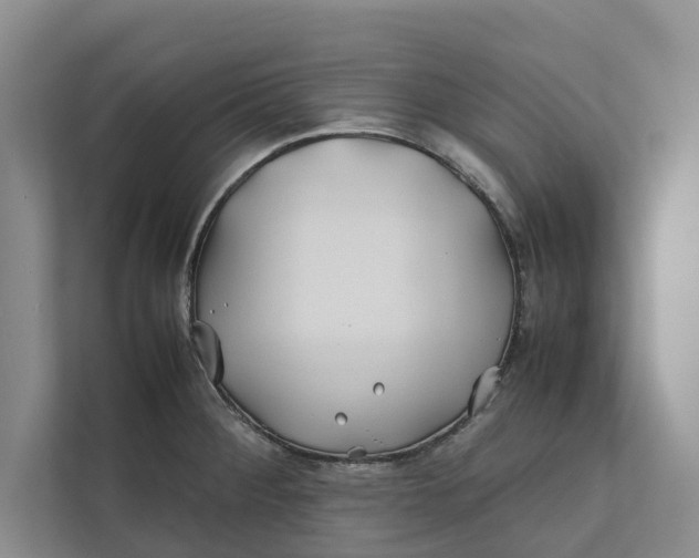 X0000112401284200909041329