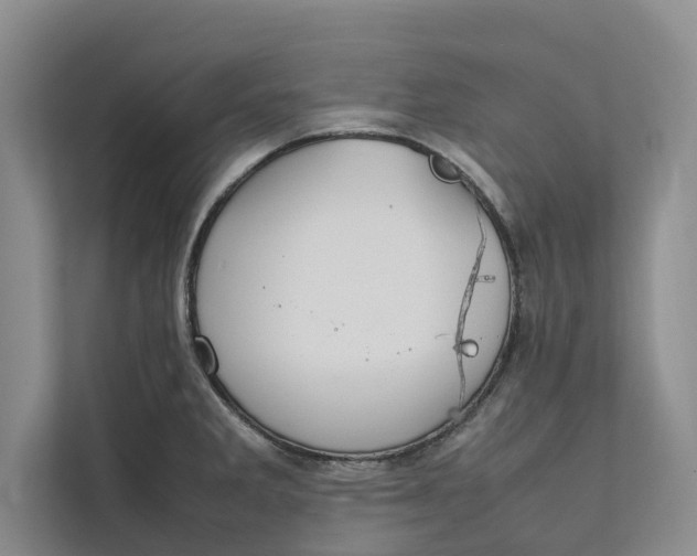 X0000112401285200909041329