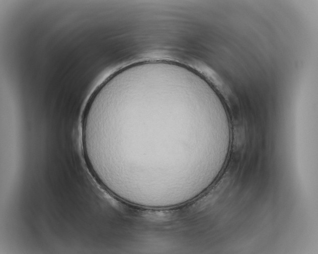 X0000112401286200909041329