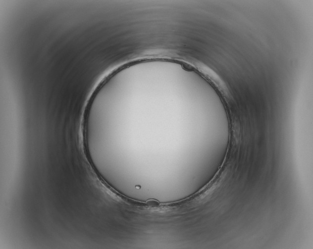 X0000112401288200909041329