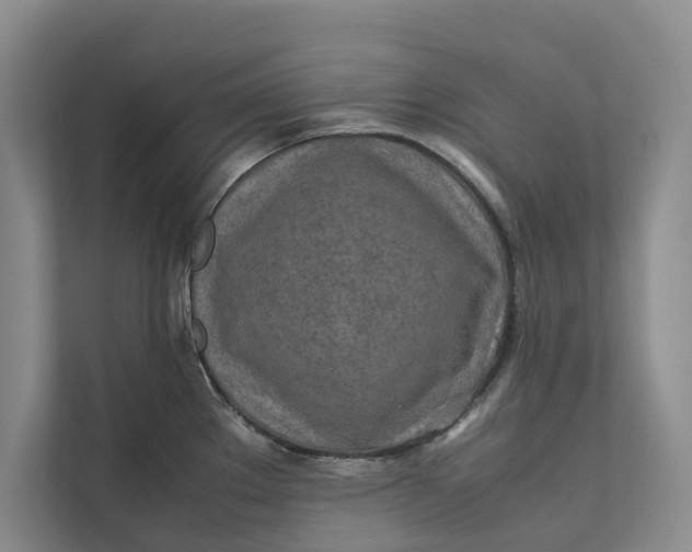 X0000112401289200909041329