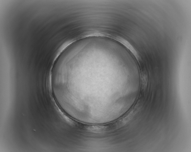 X0000112401290200909041329