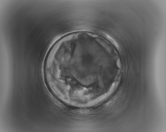 X0000112401291200909041328