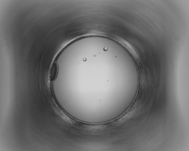 X0000112401292200909041328