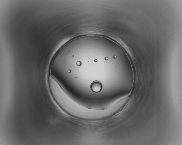 X0000112401293200909041328