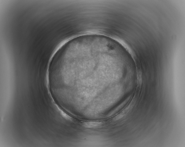 X0000112401294200909041328
