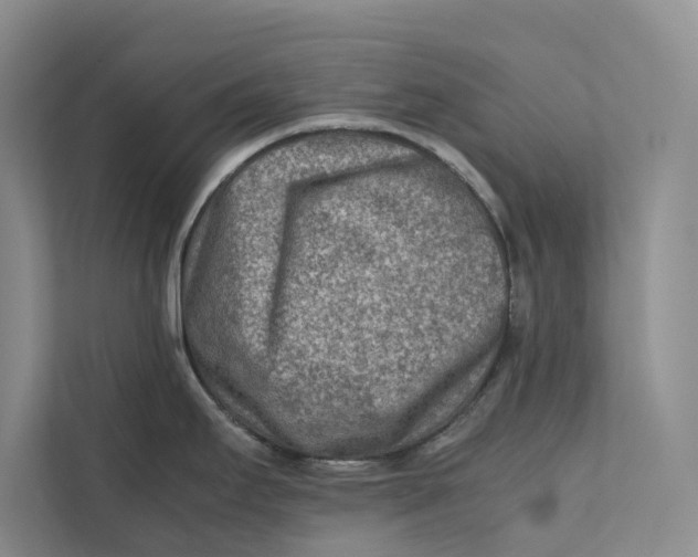 X0000112401295200909041328
