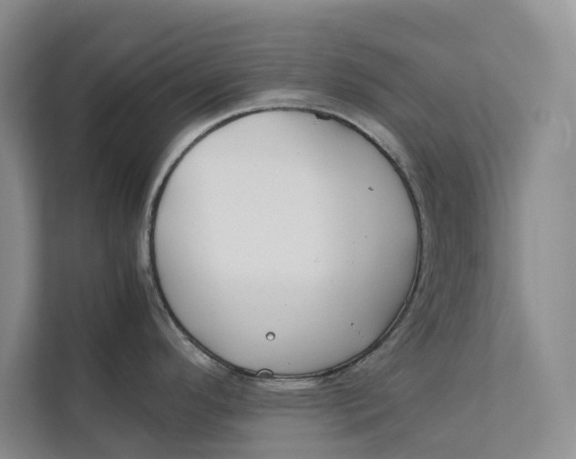 X0000112401296200909041328