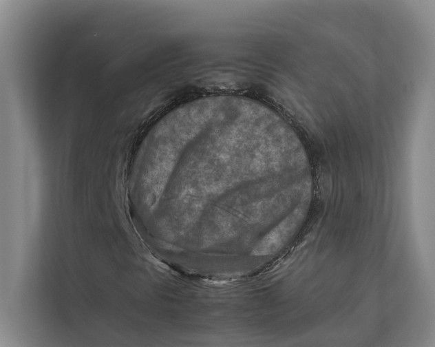 X0000112401297200909041328