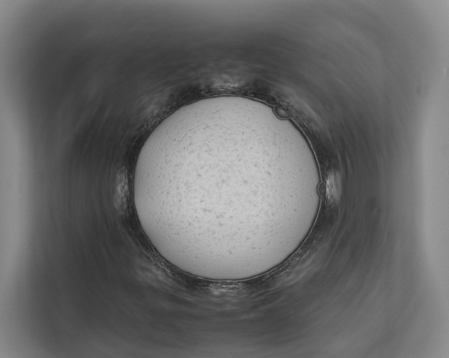 X0000112401299200909041328
