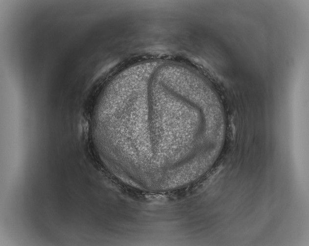 X0000112401302200909041328