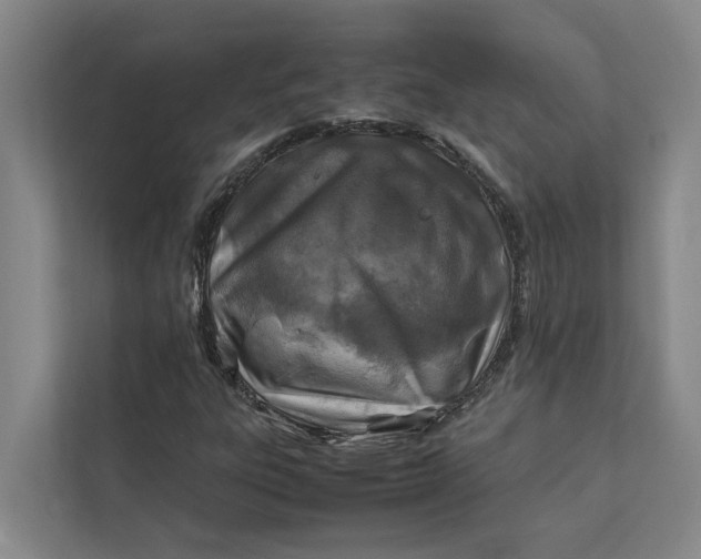 X0000112401303200909041328