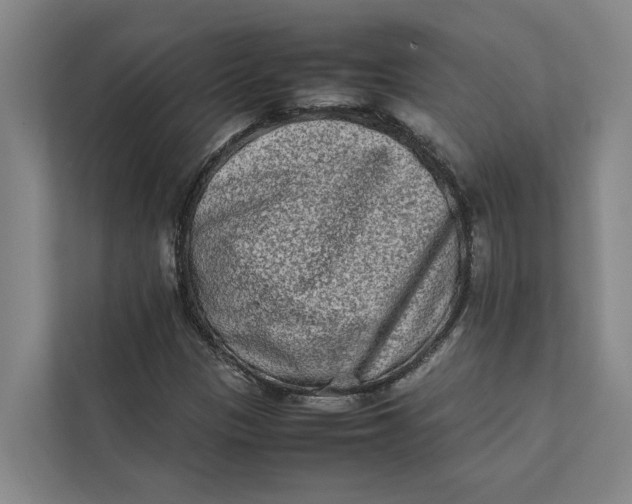 X0000112401305200909041328