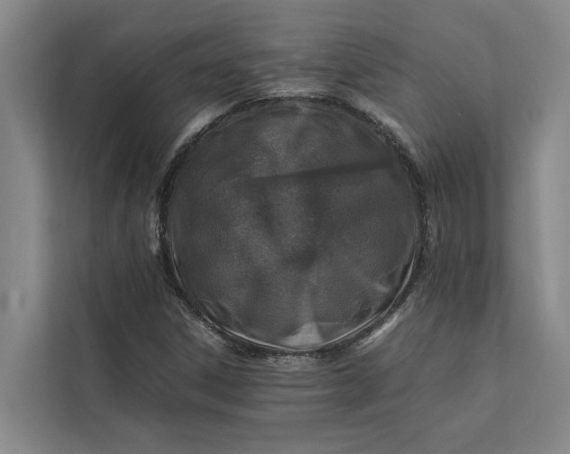 X0000112401306200909041328