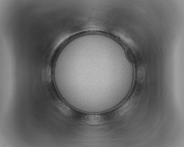 X0000112401310200909041328
