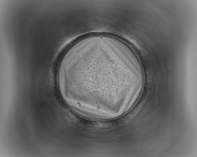 X0000112401311200909041328