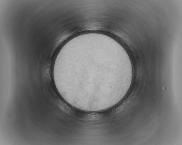 X0000112401314200909041328