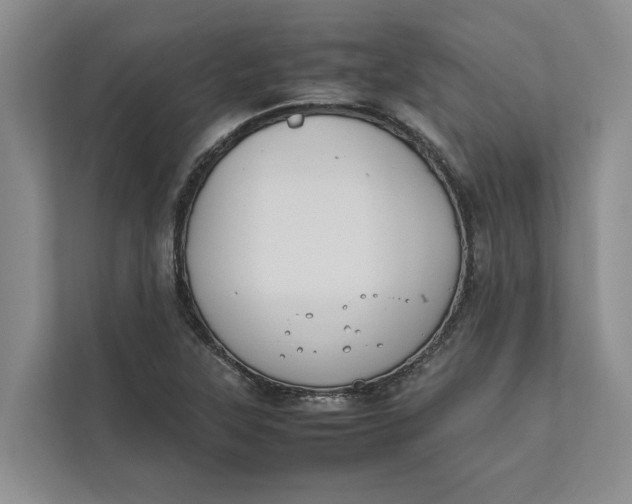 X0000112401315200909041328