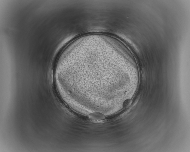 X0000112401317200909041328
