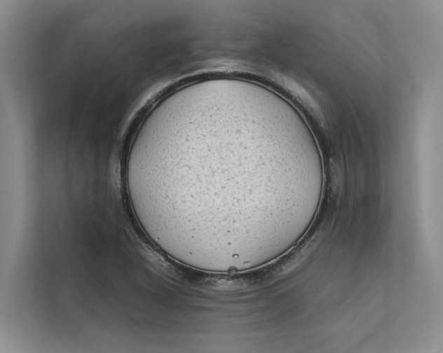 X0000112401318200909041328