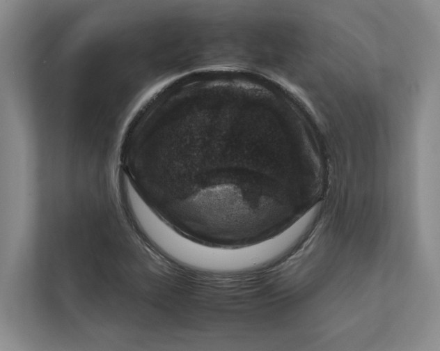 X0000112401319200909041328