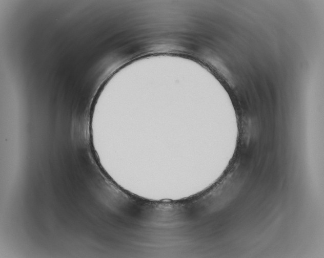 X0000112401322200909041328
